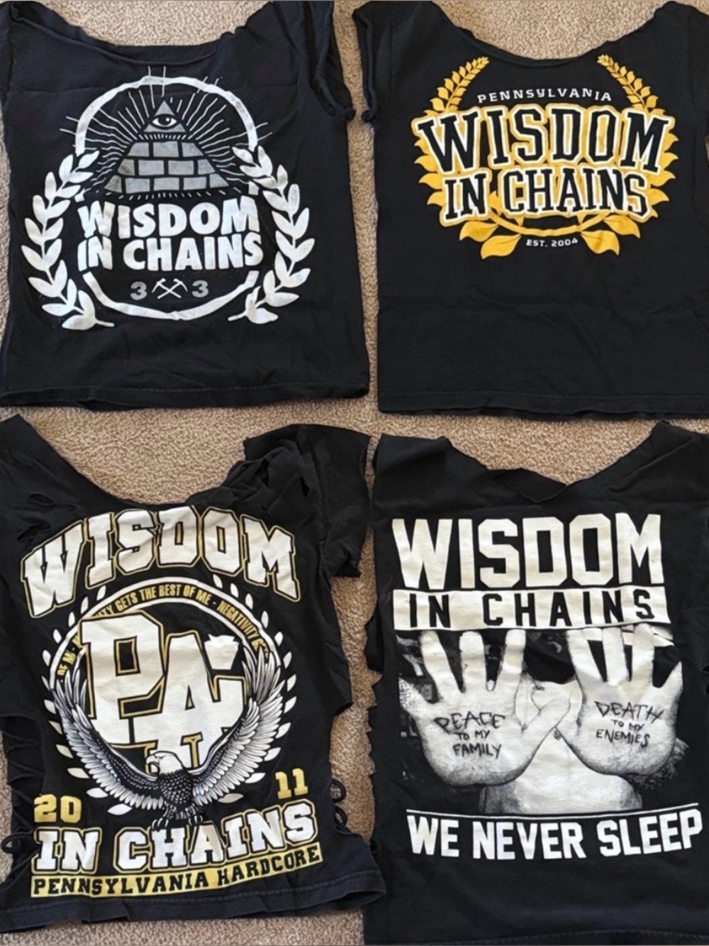 Wisdom in Chains shirts. PAHC. Mens small.